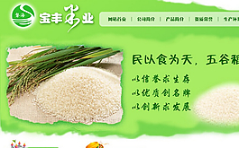 合肥定制網(wǎng)站建設(shè)公司